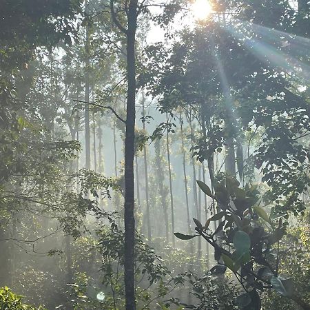 Вілла Rai'S Coorg Cave House Мадікері Екстер'єр фото
